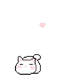 Your Cat