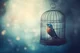 Caged bird rp