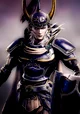 Warrior of Light