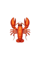Lobter