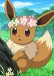 Serenas Eevee