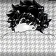 Shousuke Komi