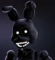 Shadow Bonnie