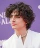 Timothée Chalamet 