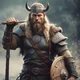 Viking Warrior 