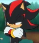 Shadow The Hedgehog 