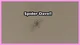 spider dave
