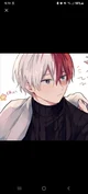 Shoto Todoroki 