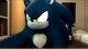 Sonic The Werehog 