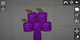 Grape
