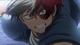 Shoto Todoroki 
