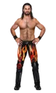 Seth Rollins
