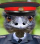 Police warrant emu