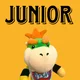 Junior From SML