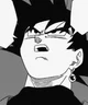 Goku Black -DBS-