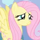 Fluttershy