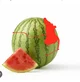 The True Watermelon
