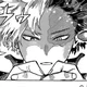 MHA - Shoto todoroki