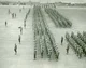 The 37th division