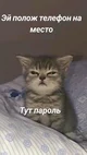 Эндрю