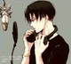 Levi Ackerman 
