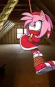 Amy Rose 