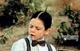 Alfalfa Switzer 