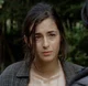 Tara Chambler 
