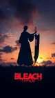 Bleach