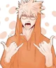 Katsuki Bakugou 