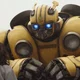 Bumblebee - BBM