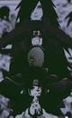 Uchiha brothers 