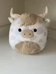 Squishmallow