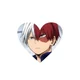 Shoto Todoroki