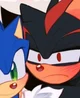SHADOW - HEDGEHOG 