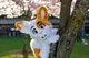 Pique bunny Fursuit 