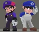 Smg4 and Smg3