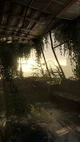 Apocalypse-
