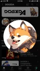 DOGEDA