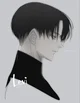 Levi Ackerman 