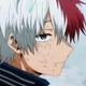 Shoto Todoroki