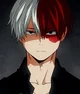 Shoto Todoroki