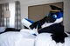 Avalon jay Fursuit 