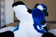 Avalon jay Fursuit