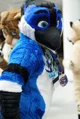 Avalon jay Fursuit 