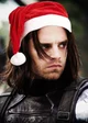 Bucky barnes
