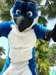 Avalon jay Fursuit 