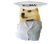 Doges milkman