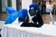 Avalon jay Fursuit 