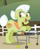 Granny Smith 